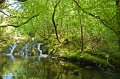 Waterfall in Forest Park near Glengarriff, Co. Cork
